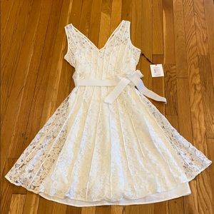 NWT CALVIN KLEIN LACE DRESS